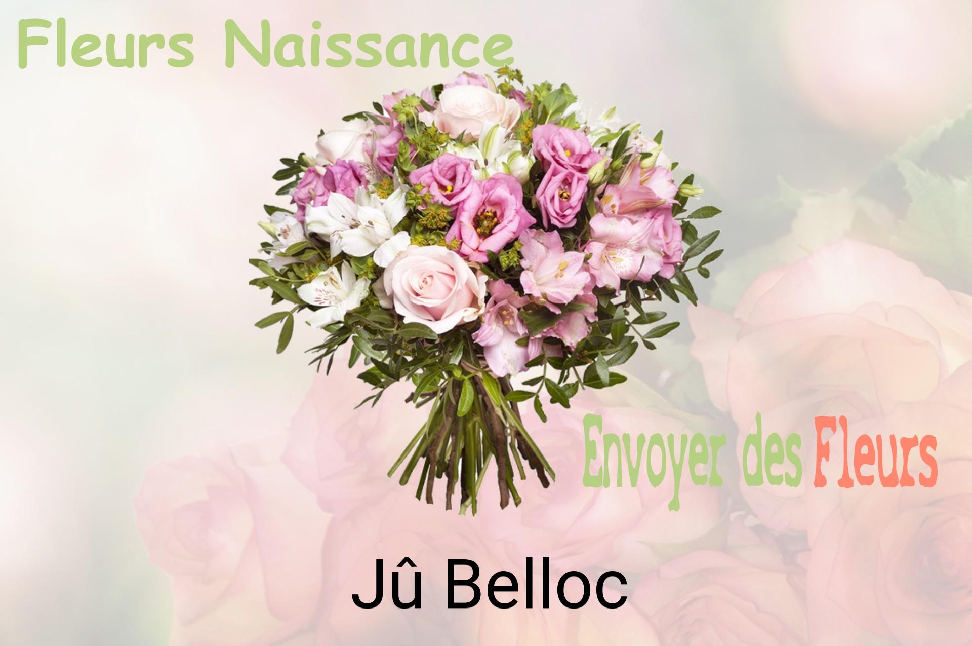 Bouquet de fleurs de naissance livré à Jû-Belloc