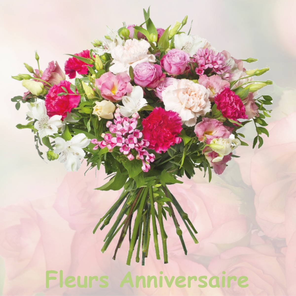fleurs anniversaire JU-BELLOC