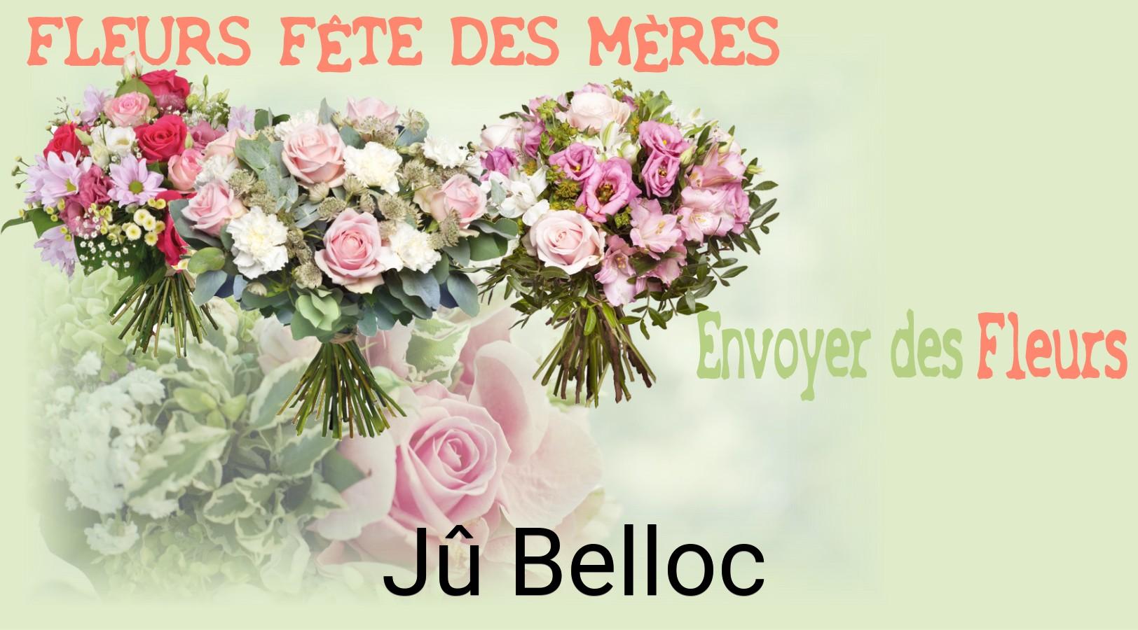 Bouquet de Fête des Mères livré à Jû-Belloc